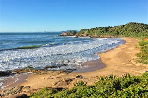 are there nude beaches in brazil|Discover the 8 Nude Beaches in Brazil